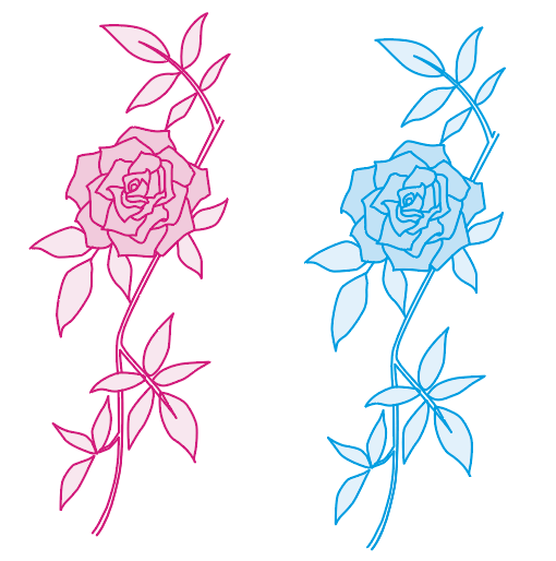赤と青のバラ